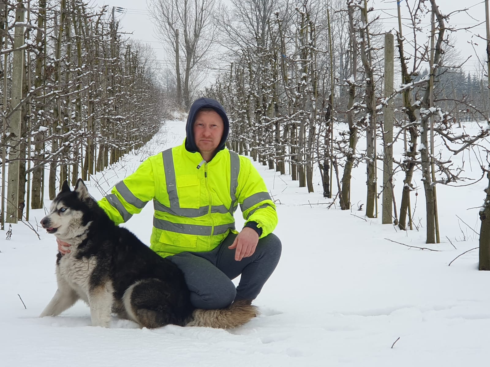 Digital Farm Record Keeping Made Simple 1 marcin orchard BDO3ya5M