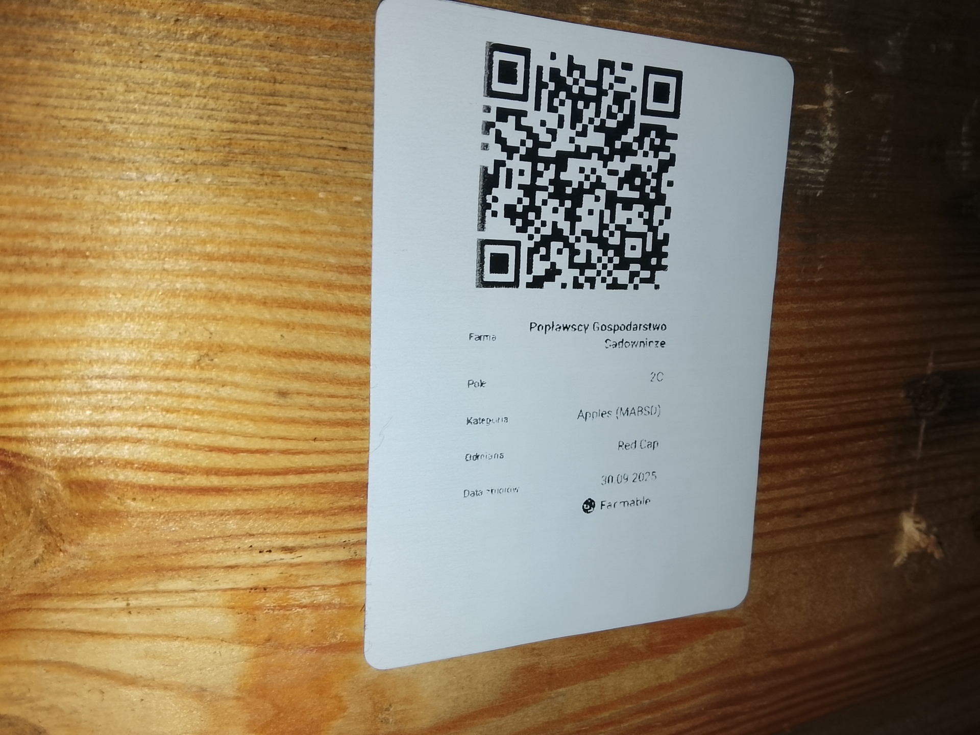 qr traceability DM9 Tg0Z